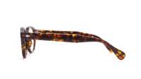 Moscot Lemtosh Tortoise LEM 2002-46-AC-DEM-01 46-24 Medium