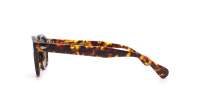 Moscot Lemtosh Tortoise G15 LEM 2002-46-AC-SUN-02 46-24 Medium