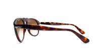 Persol 649 Original Havane Écaille PO0649 24/51 54-20 Medium Dégradés