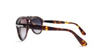 Persol 649 Original Havane Écaille PO0649 24/86 54-20 Medium Dégradés