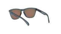 Oakley Frogskins Grau Prizm OO9013 F6 55-17 Medium Polarized Flash