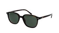 Ray-Ban Leonard Écaille G-15 RB2193 902/31 53-18 Medium