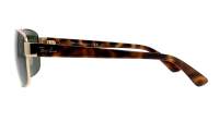 Ray-Ban RB3663 001/31 60-17 Gold G-15 Breit