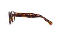 Moscot Lemtosh Tortoise 44-24 Small