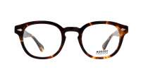 Moscot Lemtosh Classic Havana 44-24 Small