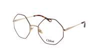 Chloé Palma Tortoise CH0022O 008 53-20 Medium