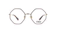 Chloé Palma Tortoise CH0022O 008 53-20 Medium