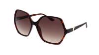 Guess GU7747/S 52F 62-16 Tortoise Large Gradient