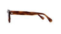 Moscot Lemtosh Tobacco 46-24 Medium