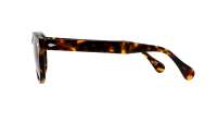 Moscot Lemtosh Tortoise Comistan brown lenses 49-24 Large