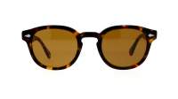 Moscot Lemtosh Tortoise Comistan brown lenses 49-24 Large