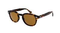 Moscot Lemtosh Tortoise Comistan brown lenses 49-24 Large