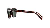 Persol   Tortoise PO3292S 24/31 50-21 Havana