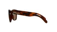 Oakley Frogskins  OO9013 C5 55-17 Matte brown tortoise