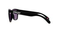 Oakley Frogskins  OO9013 H6 55-17 Matte black