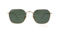 Ray-ban Jim  RB3694 001/31 53-20 Arista