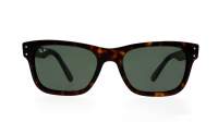 Ray-Ban Mr Burbank Havana Écaille G-15 RB2283 902/31 52-20 Medium