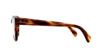 Ray-Ban RX0707V RB0707V 2144 50-21 Striped Havana