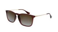 Ray-ban Chris RB4187 6593/T5 54-18 Transparent marron